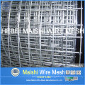 Electro galvanizado soldado Wire Mesh